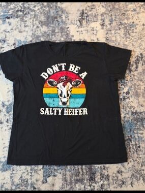 💥💥5 For $25 Don't Be A Salty Heifer Graphic Tee - Black with Retro Rainbow Cow